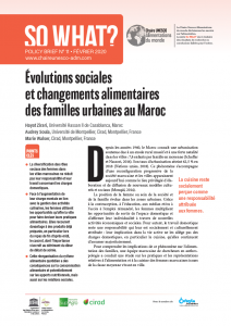 N°11/ Evolutions sociales et changements alimentaires des familles urbaines au Maroc