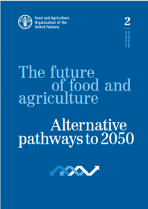 The future of food and agriculture. Alternative pathways to 2050