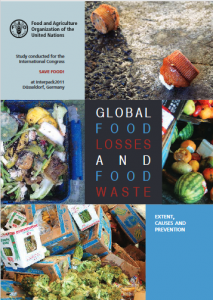 Global food losses and food waste – Extent, causes and prevention
