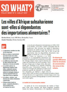 N° 4/ Les villes d’Afrique subsaharienne sont-elle si dépendantes des importations alimentaires ?