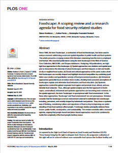 Foodscape : A scoping review and a research agenda for food security-related studies