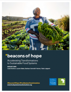 Beacons of hope : accelerating transformations to sustainable food systems
