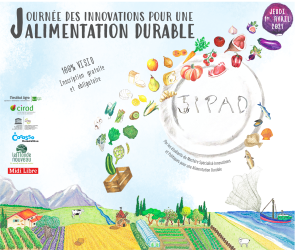 illustrtation rubrique : JIPAD 2021